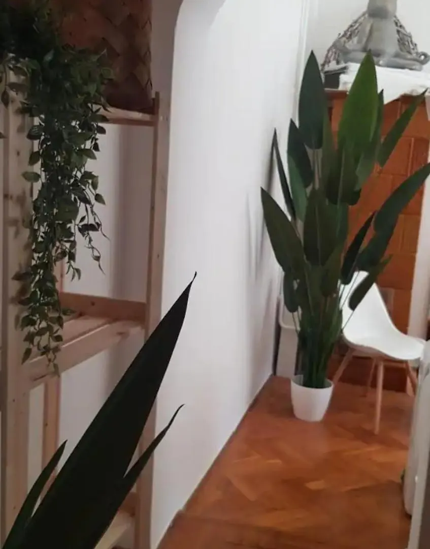 Cozy Flat Near Kazinczy Downtown Apartment Budapest