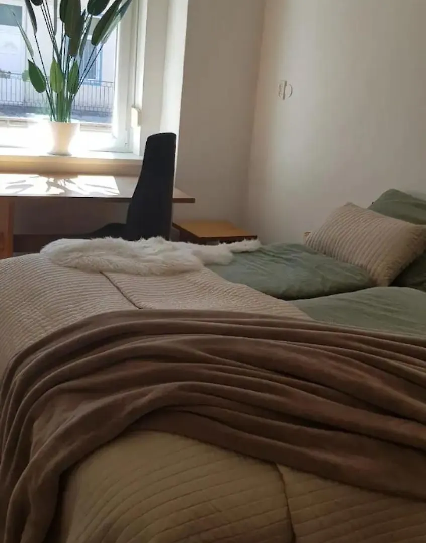 Cozy Flat Near Kazinczy Downtown Apartment Budapest Hungary