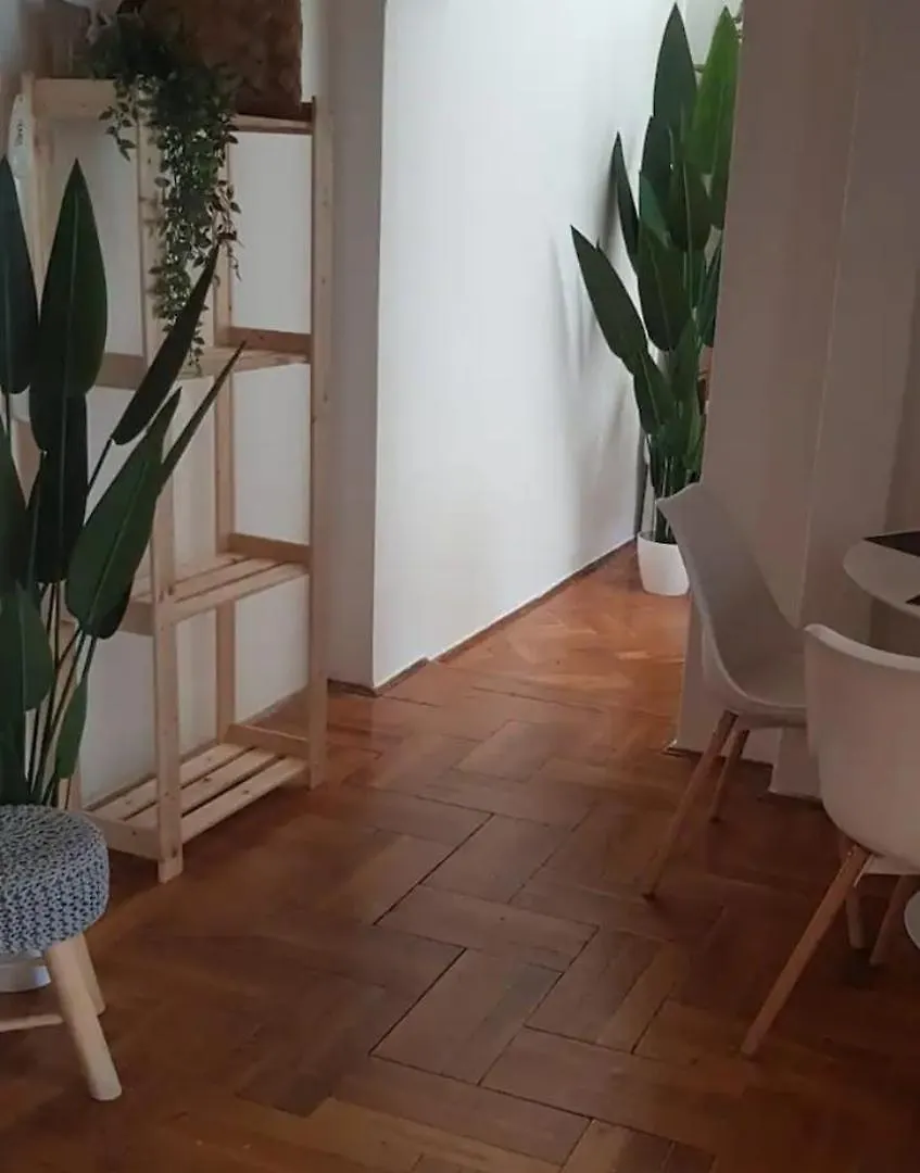 Cozy Flat Near Kazinczy Downtown Apartment Budapest